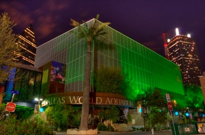 Dallas World