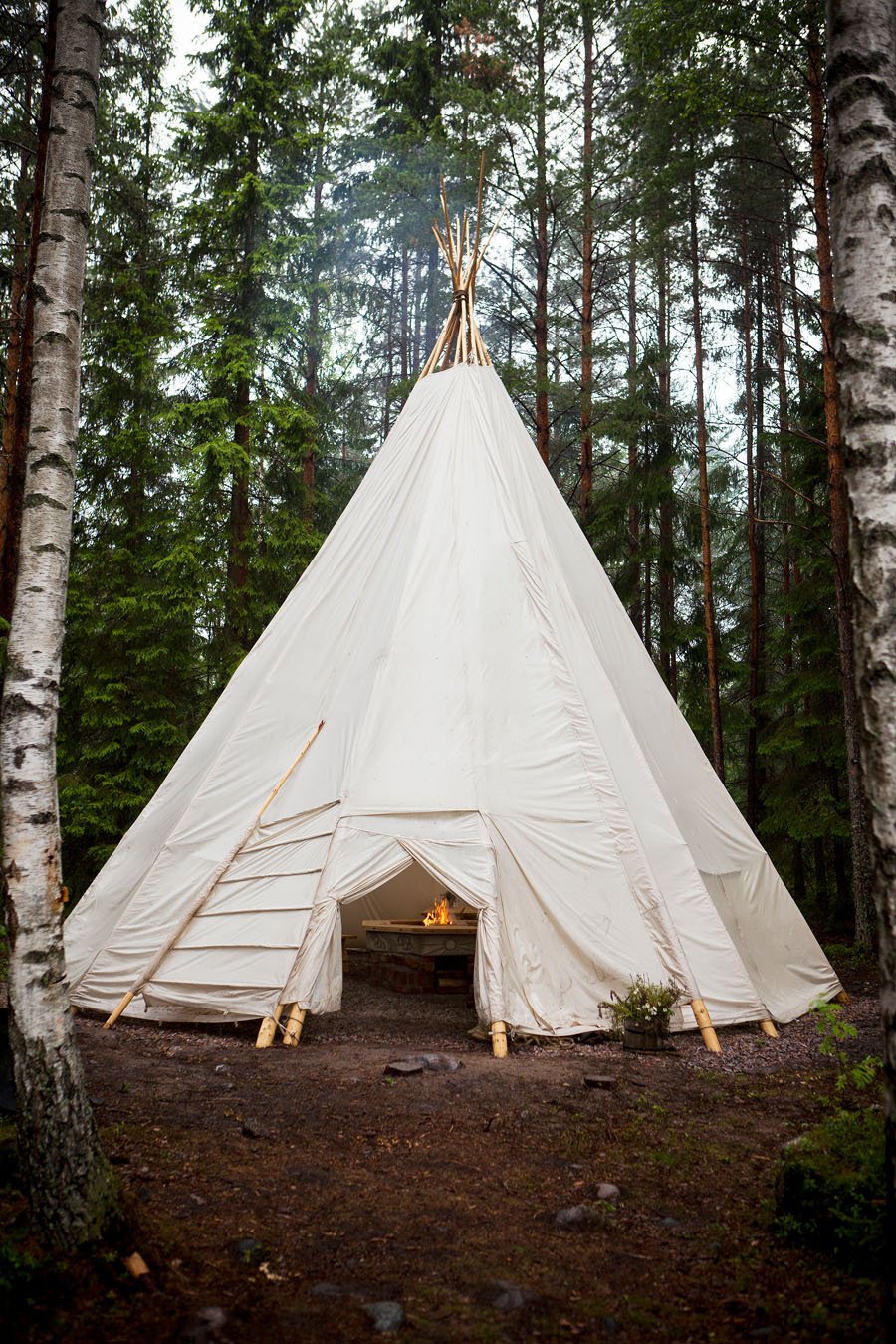 rhinoplasty-tent-pole-model