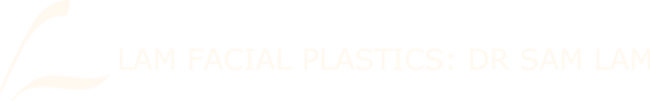 Lam logo